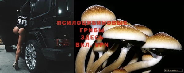 ALPHA-PVP Беломорск