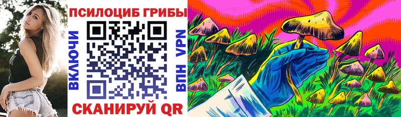 Галлюциногенные грибы MAGIC MUSHROOMS  даркнет сайт  Щёкино 